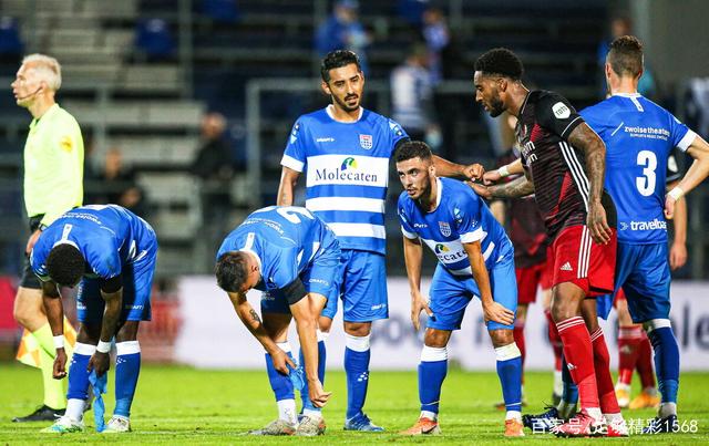 术多样化的 术多样化的