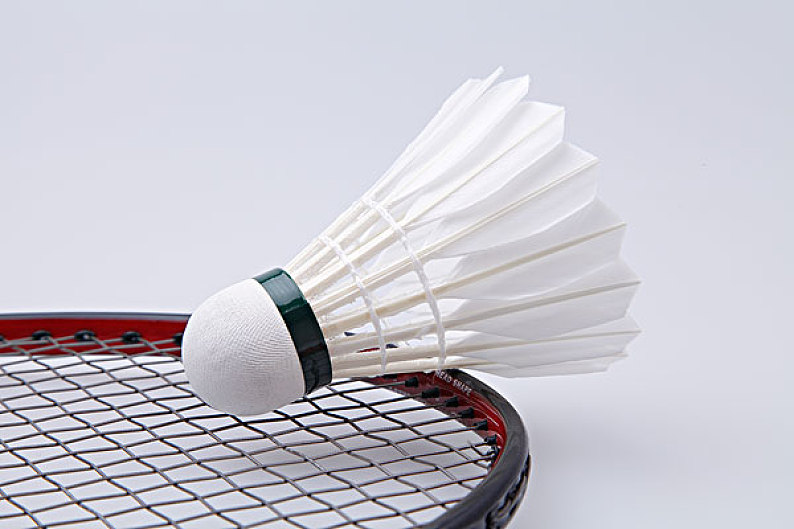 矶的生活仿 矶的生活仿