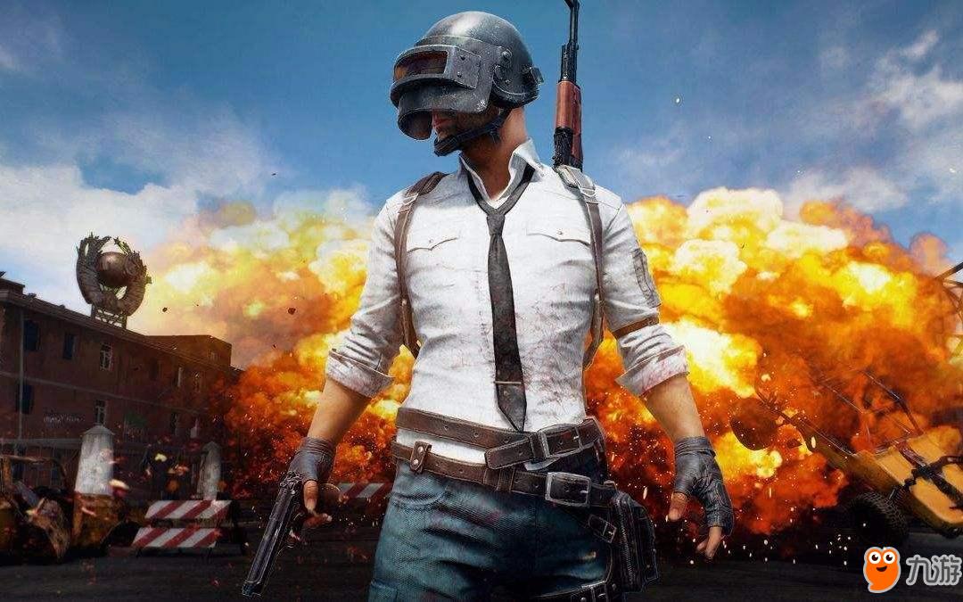 荷兰国家德 荷兰国家德